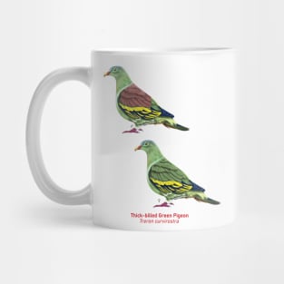 Thick-billed Green Pigeon | Treron curvirostra ⚥ Mug